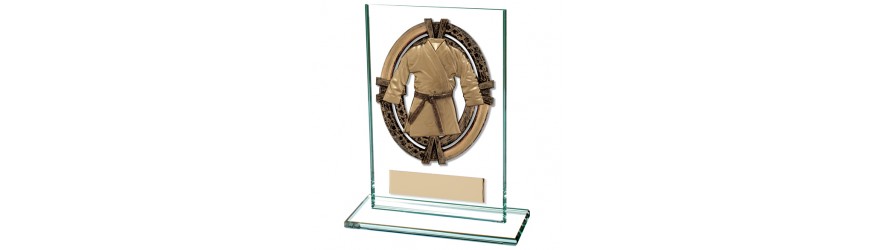 MAVERICK MARTIAL ARTS TROPHY - 5 SIZES - 12.5CM - 20CM